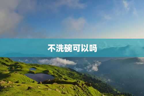 不洗碗可以吗