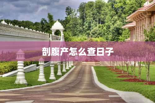 剖腹产怎么查日子