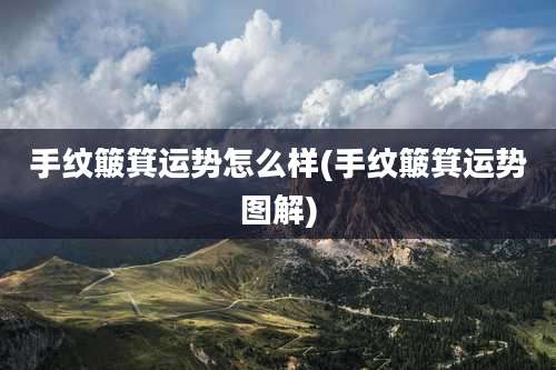 手纹簸箕运势怎么样(手纹簸箕运势图解)