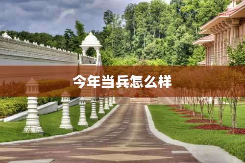 今年当兵怎么样