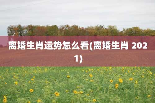 离婚生肖运势怎么看(离婚生肖 2021)