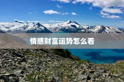 情感财富运势怎么看
