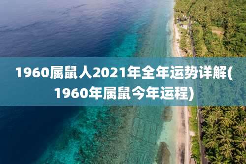 1960属鼠人2021年全年运势详解(1960年属鼠今年运程)