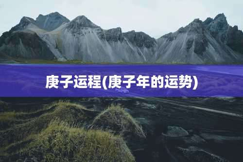 庚子运程(庚子年的运势)