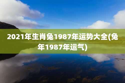 2021年生肖兔1987年运势大全(兔年1987年运气)