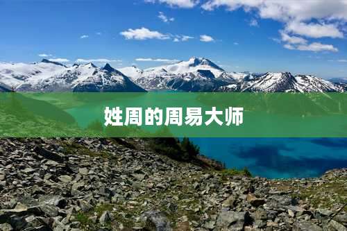 姓周的周易大师