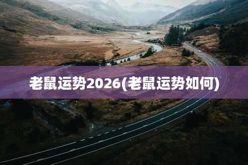 老鼠运势2026(老鼠运势如何)