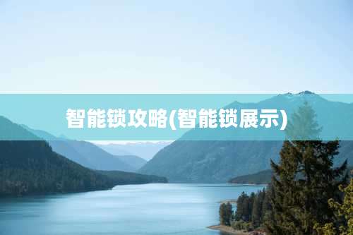 智能锁攻略(智能锁展示)