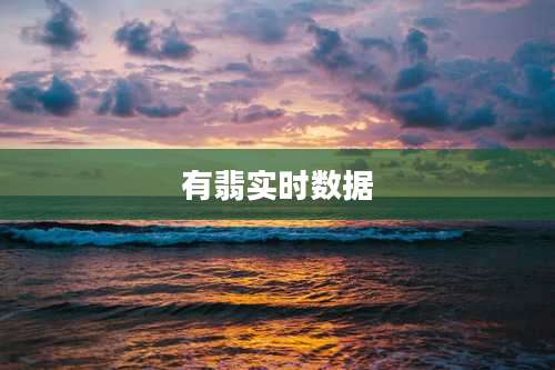 有翡实时数据