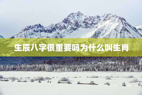 生辰八字很重要吗为什么叫生肖