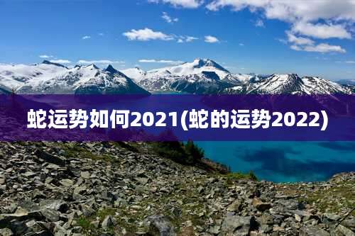蛇运势如何2021(蛇的运势2022)