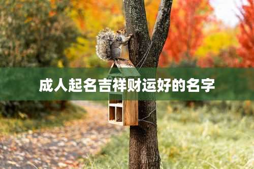 成人起名吉祥财运好的名字