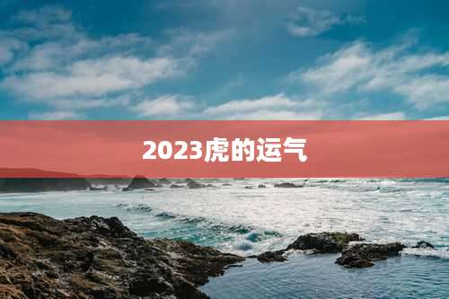 2023虎的运气