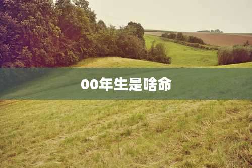 00年生是啥命