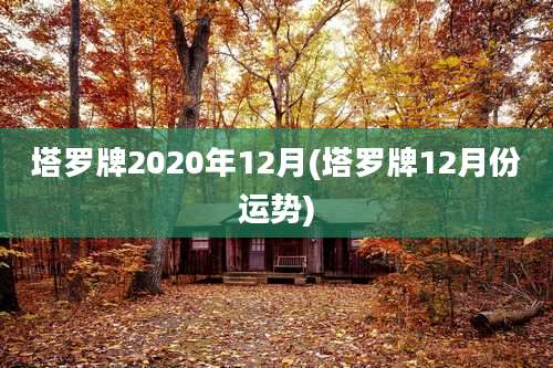 塔罗牌2020年12月(塔罗牌12月份运势)