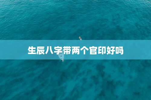 生辰八字带两个官印好吗
