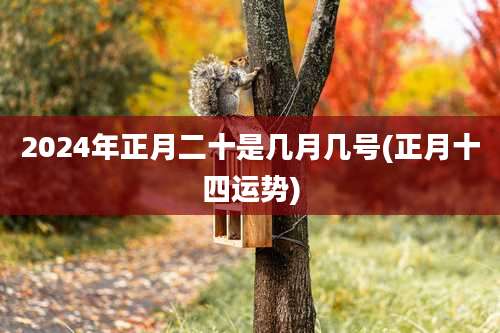 2024年正月二十是几月几号(正月十四运势)