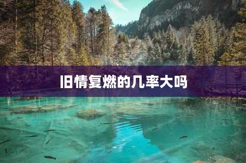 旧情复燃的几率大吗