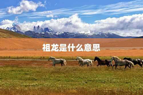 祖龙是什么意思