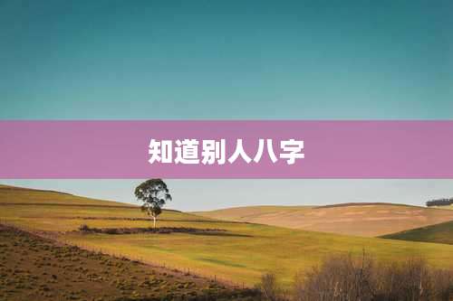 知道别人八字