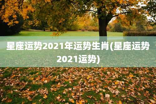 星座运势2021年运势生肖(星座运势2021运势)