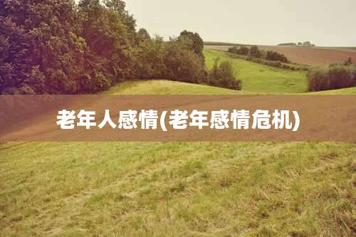 老年人感情(老年感情危机)