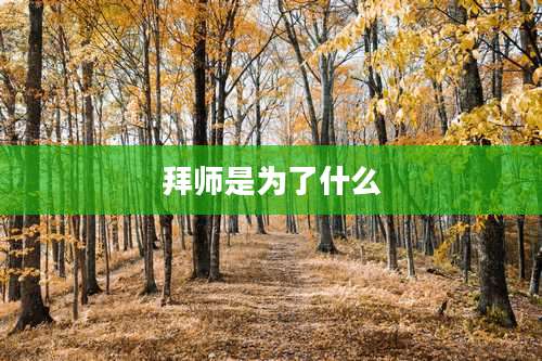 拜师是为了什么