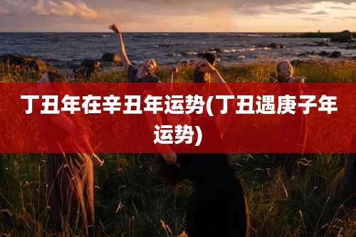 丁丑年在辛丑年运势(丁丑遇庚子年运势)