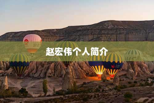 赵宏伟个人简介