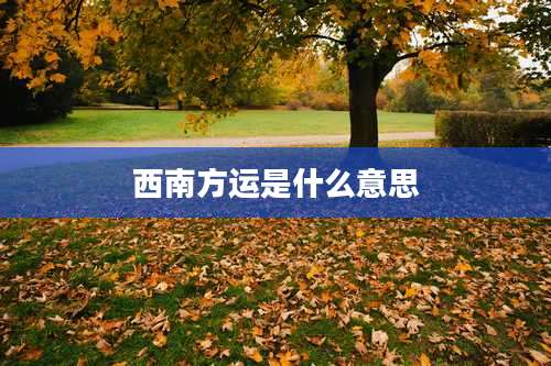 西南方运是什么意思