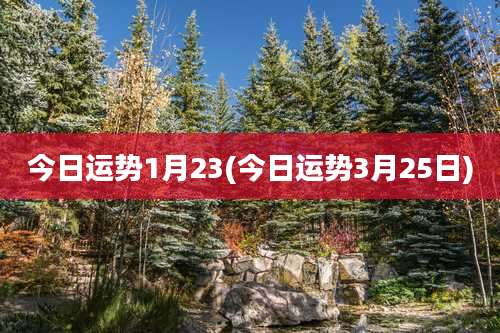 今日运势1月23(今日运势3月25日)