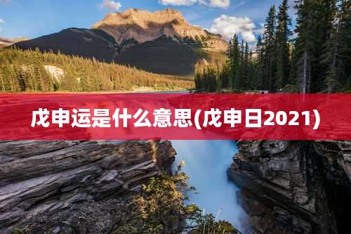 戊申运是什么意思(戊申日2021)