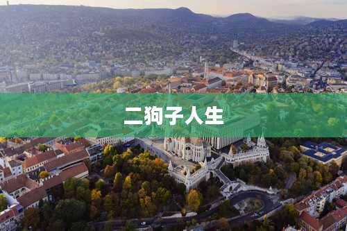 二狗子人生