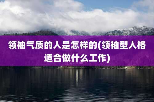 领袖气质的人是怎样的(领袖型人格适合做什么工作)