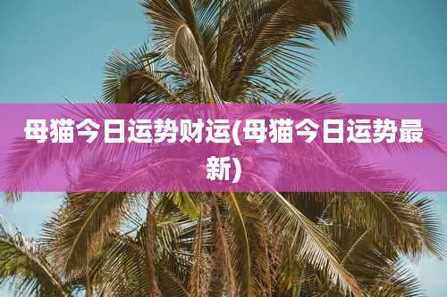 母猫今日运势财运(母猫今日运势最新)