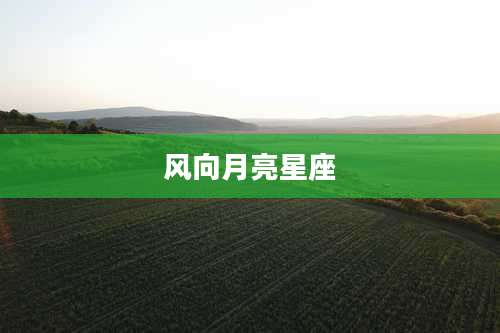 风向月亮星座