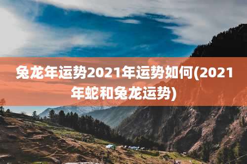 兔龙年运势2021年运势如何(2021年蛇和兔龙运势)