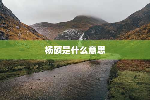 杨硕是什么意思