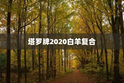 塔罗牌2020白羊复合
