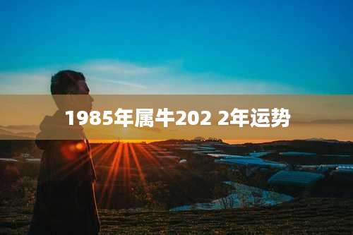 1985年属牛202 2年运势