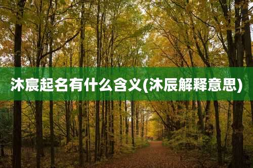 沐宸起名有什么含义(沐辰解释意思)