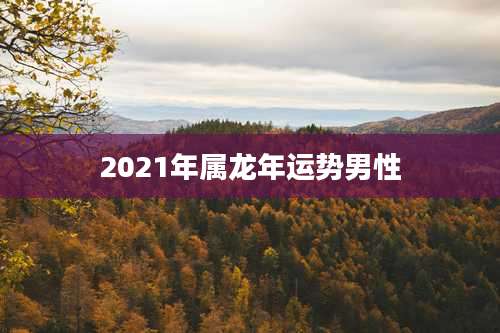 2021年属龙年运势男性