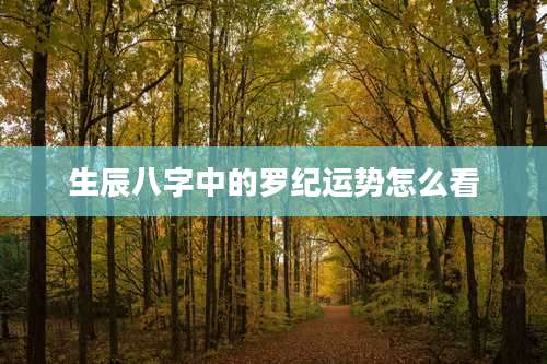 生辰八字中的罗纪运势怎么看