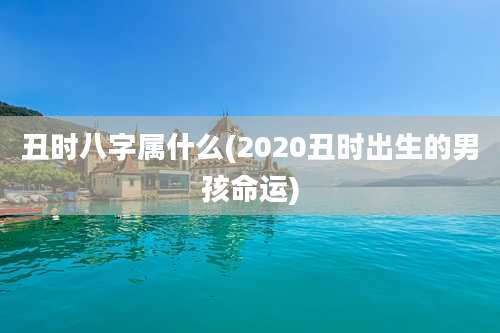 丑时八字属什么(2020丑时出生的男孩命运)