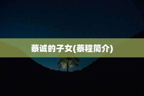 蔡诚的子女(蔡程简介)