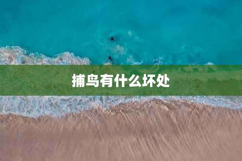 捕鸟有什么坏处