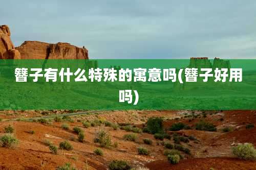 簪子有什么特殊的寓意吗(簪子好用吗)