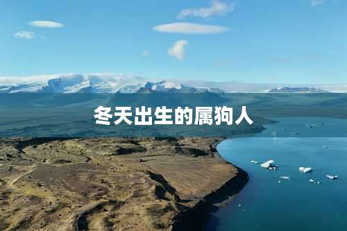 冬天出生的属狗人