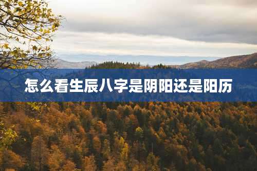 怎么看生辰八字是阴阳还是阳历