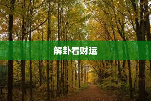解卦看财运
